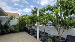 Regal 35 (D14), Apartment #575648851